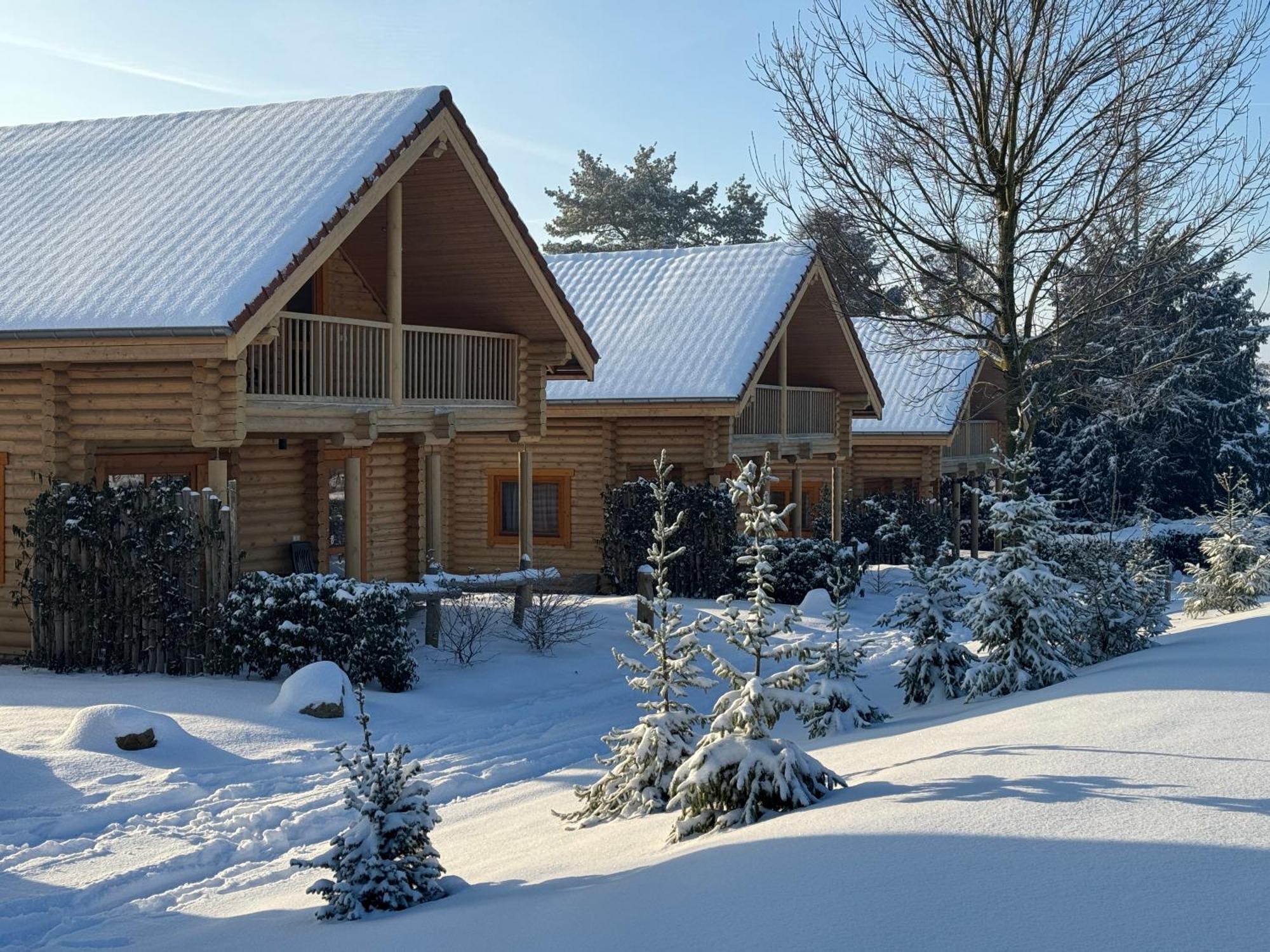 Boomstamhuis High Chaparral Oorsbeek 외부 사진